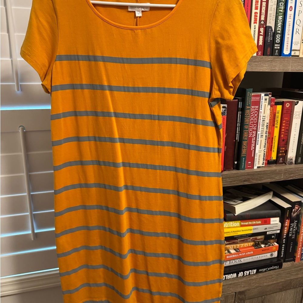 Stewart Simmons orange and charcoal striped dress